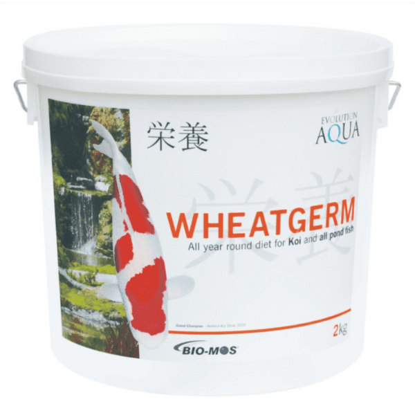 evolution wheatgerm 2kg