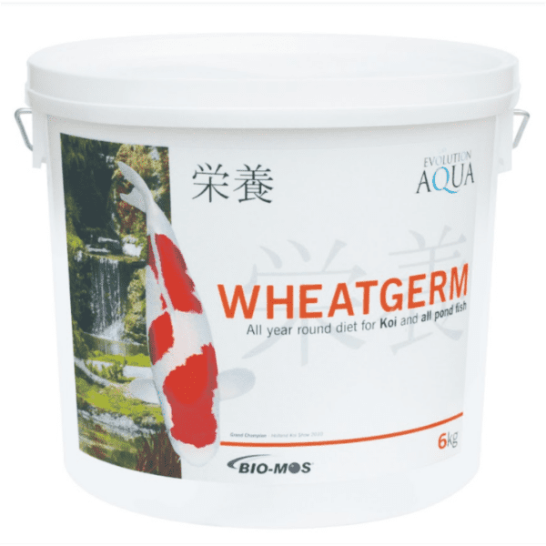 evolution wheatgerm 6kg