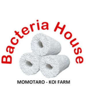 bacteria house media bhm