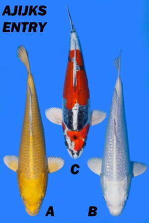 GK-3743 - Various - Yamazaki